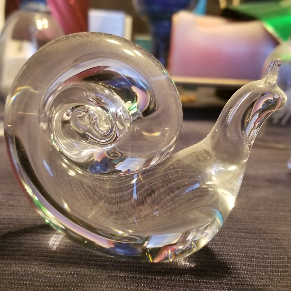 Steuben snail